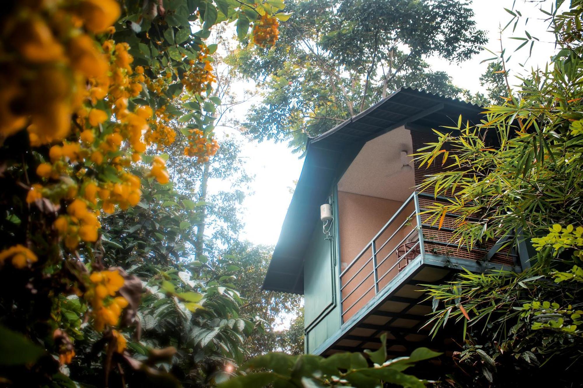 Hotel Edens Munnar Exteriér fotografie