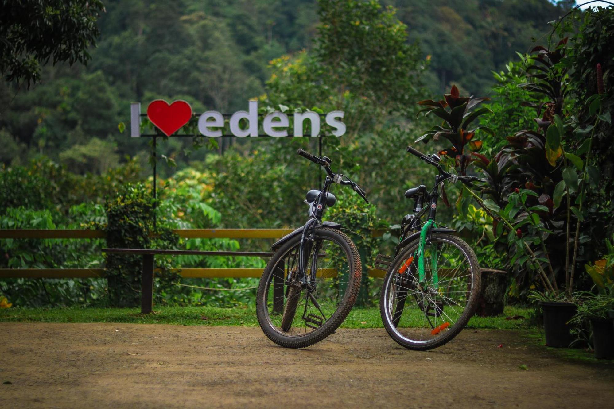 Hotel Edens Munnar Exteriér fotografie