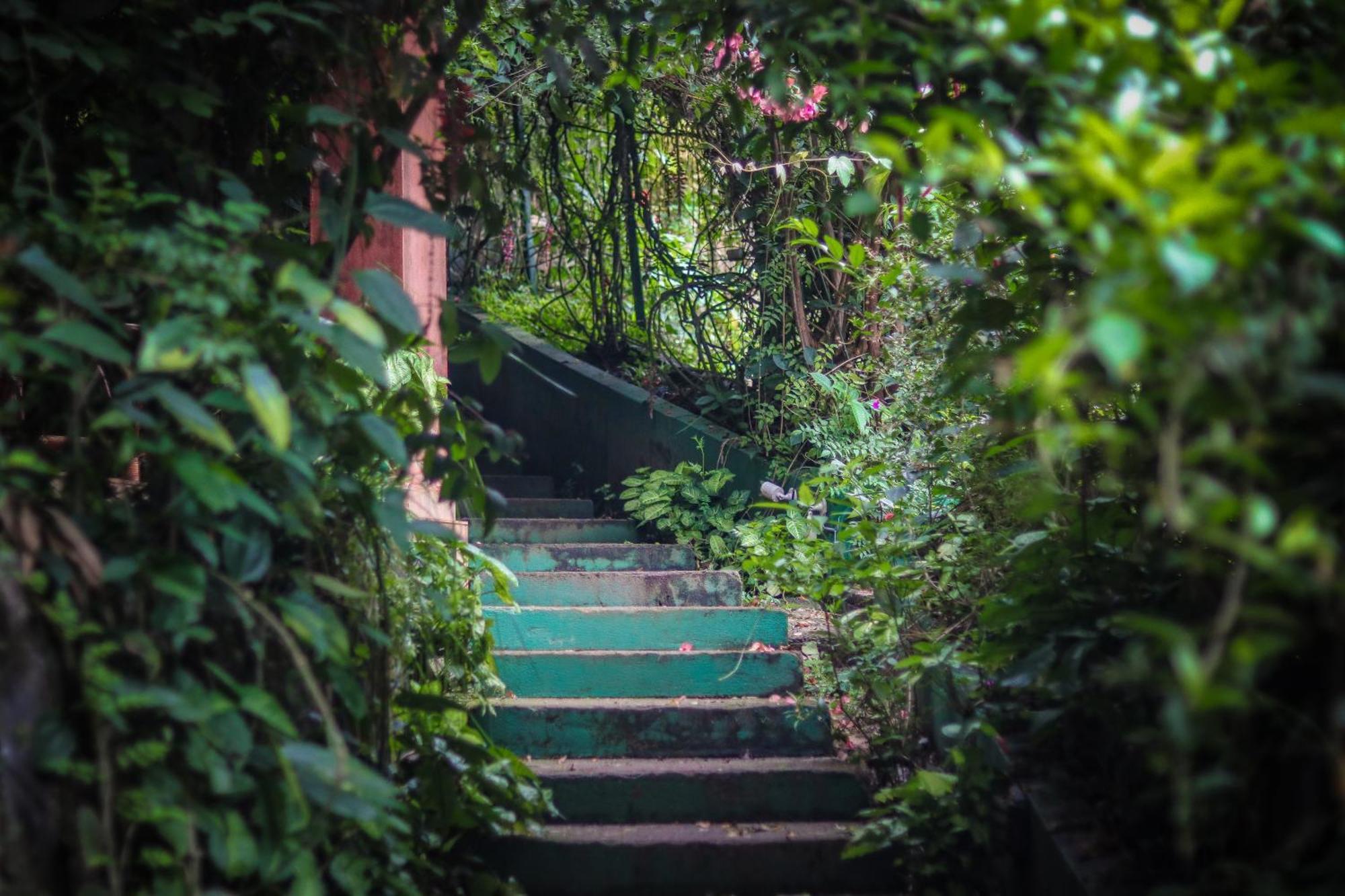 Hotel Edens Munnar Exteriér fotografie