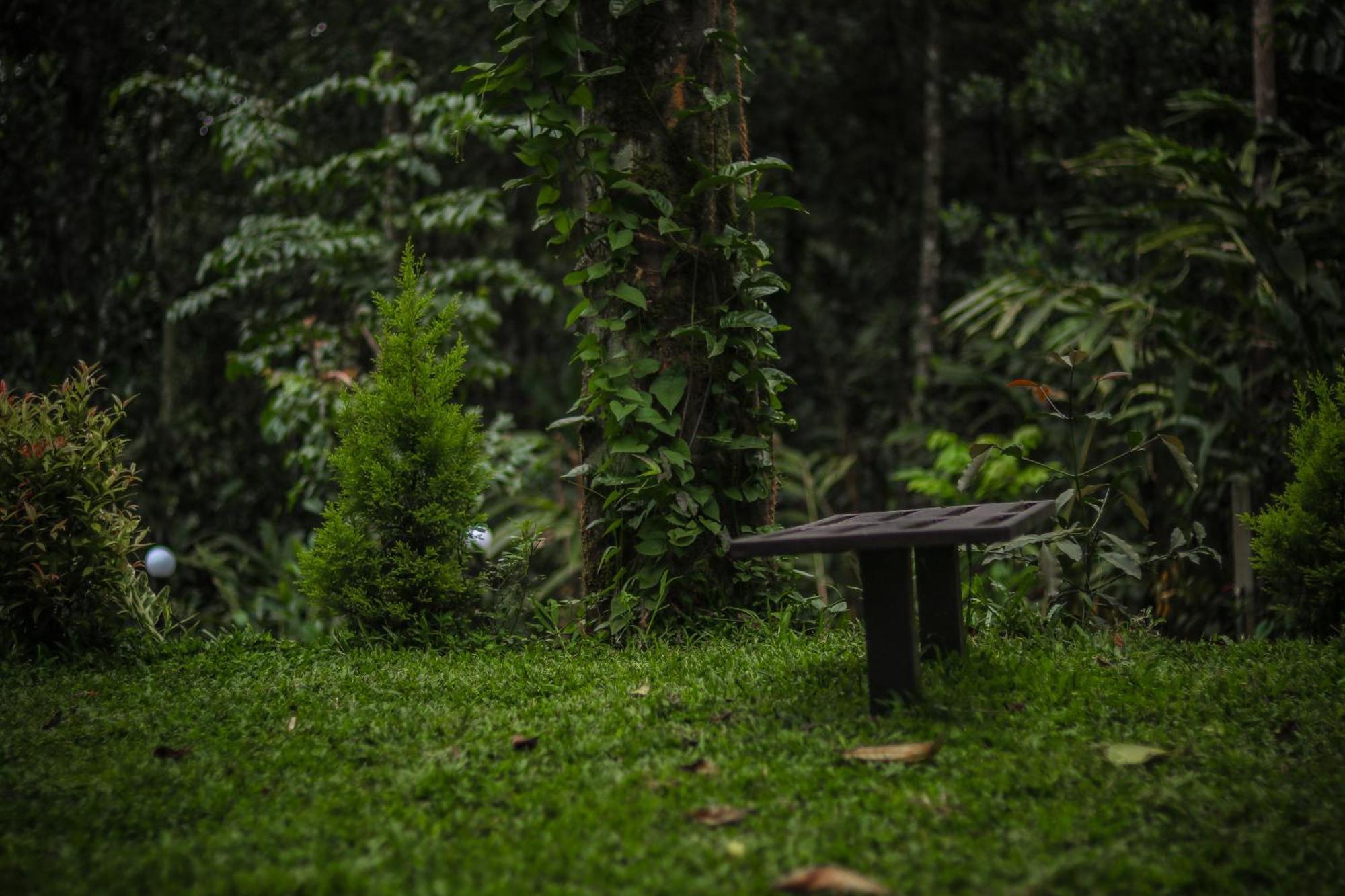 Hotel Edens Munnar Exteriér fotografie