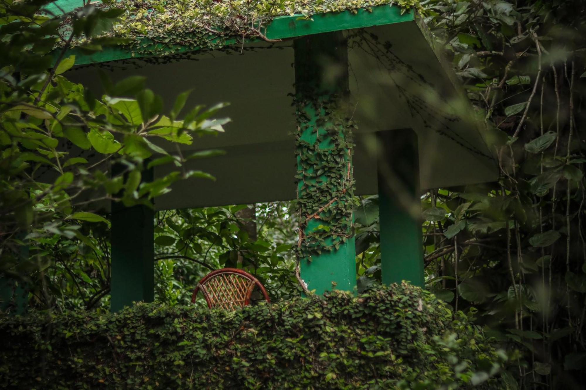 Hotel Edens Munnar Exteriér fotografie